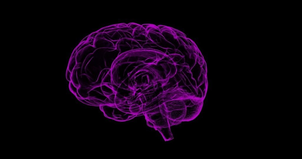 Human brain atlas