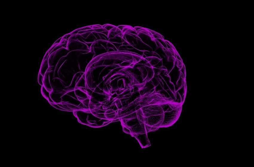  Unveiling the Human Brain’s Hidden Secrets